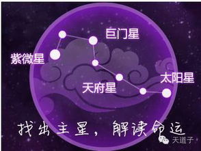 紫微星座每日运势查询:紫微斗数,探索命运的奥秘,掌握每日运势 紫微星座每日运势查询:紫微斗数,探索命运的奥秘,掌握每日运势