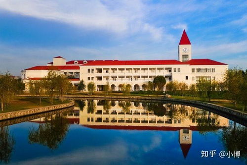 上海师范大学继续教育学院官网(上海师范大学 继续教育学院) 上海师范大学继续教育学院官网(上海师范大学 继续教育学院)