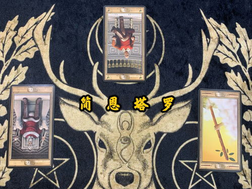 塔罗牌笼子:塔罗牌笼子,当神秘学成为心理牢笼 塔罗牌笼子:塔罗牌笼子,当神秘学成为心理牢笼