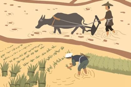 风水学入门知识墓地风水:风水学入门必读,墓地风水的核心原则与选址要点 风水学入门知识墓地风水:风水学入门必读,墓地风水的核心原则与选址要点