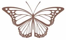 塔罗牌鸟笼:塔罗牌鸟笼,命运的囚笼还是心灵的翅膀? 塔罗牌鸟笼:塔罗牌鸟笼,命运的囚笼还是心灵的翅膀?