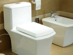 梦见马桶堵了什么预兆：梦见马桶堵了什么预兆？解析梦境背后的隐喻与心理暗示