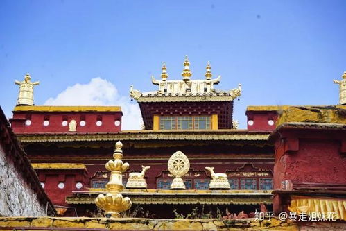 银川文殊寺在哪里求姻缘：银川文殊寺在哪里求姻缘？藏传佛教圣地的姻缘祈福攻略