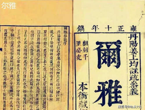 女孩名字寓意:千年文脉与当代审美,解码女孩名字中的文化寓意与情感寄托