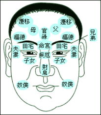 面相学图解算命大全:面相学图解算命大全,从五官到命运密码的精准解析(附28个关键特征图解)