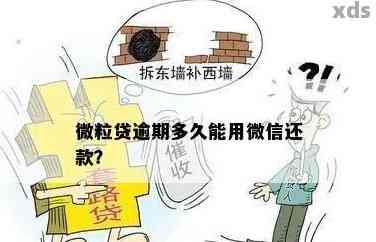 利安隆：不存在逾期担保及涉及诉讼担保的情况