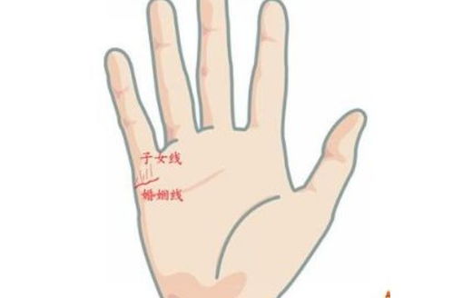 小孩子手相如何看姻缘：从手相看姻缘，父母如何为孩子解读未来的感情走向？