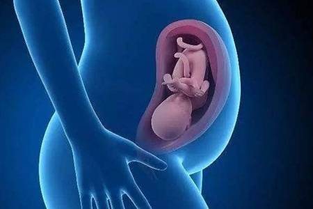 做梦老婆怀孕了是什么征兆:做梦老婆怀孕了是什么征兆?神秘梦境背后的深层解读 做梦老婆怀孕了是什么征兆:做梦老婆怀孕了是什么征兆?神秘梦境背后的深层解读