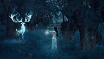 女人梦见自己逃跑躲藏:暗夜中的独舞,女性梦境中逃跑与躲藏的隐喻与疗愈 女人梦见自己逃跑躲藏:暗夜中的独舞,女性梦境中逃跑与躲藏的隐喻与疗愈