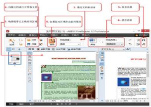 支持jpg格式的软件:支持JPG格式的软件大盘点,从专业到基础全解析