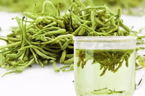 清热解毒十大名草:清热解毒十大名草,中医宝库中的健康守护者 清热解毒十大名草:清热解毒十大名草,中医宝库中的健康守护者