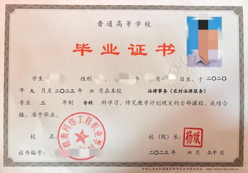 湖南不用考直接读的大专学校(湖南不用笔试的单招学校)