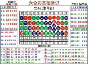 十二生肖码表2019图片:2019十二生肖码表,数字背后的文化密码与吉祥寓意解析