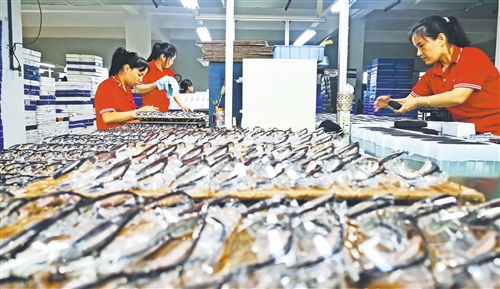 鹰潭市余江区龙视眼镜加工厂(个体工商户)成立 注册资本20万人民币