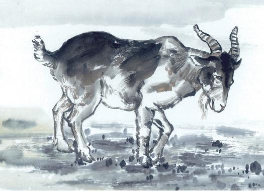 1963年属什么：1963年出生属马？揭秘你的生肖密码与人生运势全解析