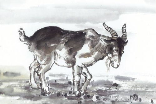 属羊的命运一生怎么样:属羊人命运解析,福祸相依的温和者如何书写人生剧本 属羊的命运一生怎么样:属羊人命运解析,福祸相依的温和者如何书写人生剧本