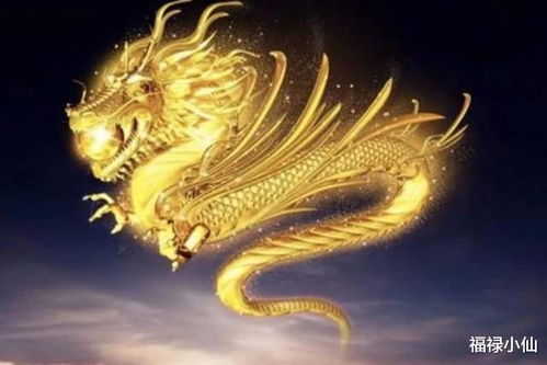 2024年属龙的本命年运势:2024年属龙本命年运势全解析,太岁当头需谨慎,这5个关键点助你逆势翻盘 2024年属龙的本命年运势:2024年属龙本命年运势全解析,太岁当头需谨慎,这5个关键点助你逆势翻盘