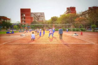 上海适合外省中学生上的职高(上海外地初中生是在上海上中高职好还是回老家高考好) 上海适合外省中学生上的职高(上海外地初中生是在上海上中高职好还是回老家高考好)