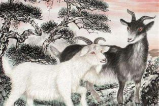 羊男马女鼠年结婚吉日:羊男马女鼠年婚配指南,2024年最适合结婚的吉日推荐 羊男马女鼠年结婚吉日:羊男马女鼠年婚配指南,2024年最适合结婚的吉日推荐