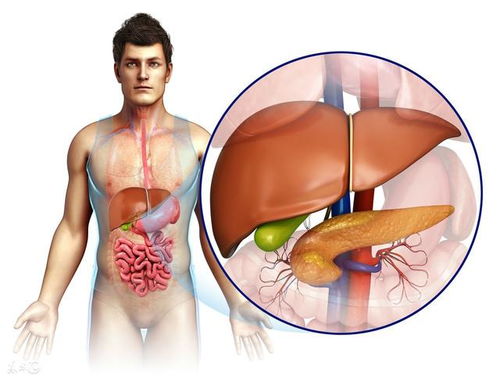 乙肝能治好吗(乙肝能治好吗男性) 乙肝能治好吗(乙肝能治好吗男性)
