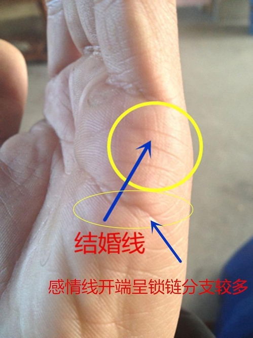手相看婚姻与姻缘的关系:手相中的婚姻密码,解读手纹与姻缘的关系