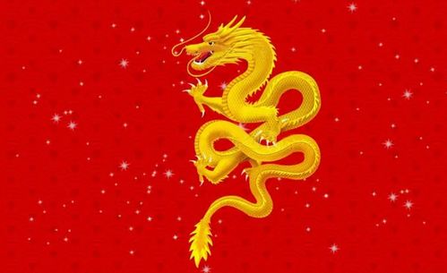 本命年属龙结婚吉日:龙年本命年喜结良缘,属龙人本命年结婚吉日指南