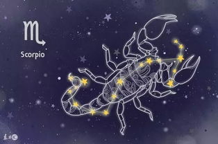 城府最深的上升星座：十二星座中隐于无形的大谋略家，这五个上升星座的城府修炼手册