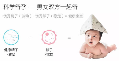 想要个男孩怎么备孕:想要个男孩?这些备孕秘诀科学又实用!