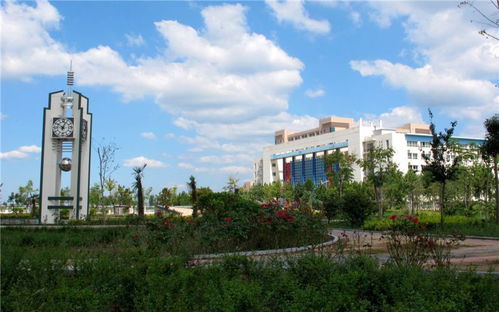 河南技术职业学院(河南艺术职业学院单招2025)