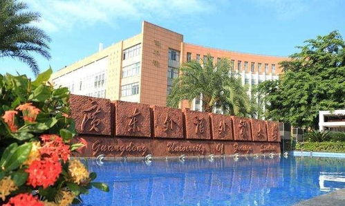 广东外语外贸大学是几本(广东外语外贸大学是几本公办民办)