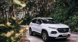 母亲5免费完整高清全集(母亲5免费完整高清全集第二季在线观看)