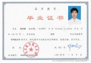 网络远程教育(网络远程教育专升本) 网络远程教育(网络远程教育专升本)
