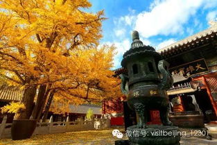 红螺寺求姻缘用去几次:红螺寺求姻缘,用去几次才有效?