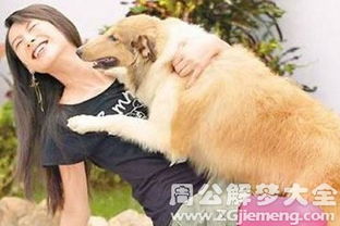 做梦见狗是啥意思：梦里出现狗，这些隐藏含义你懂吗？