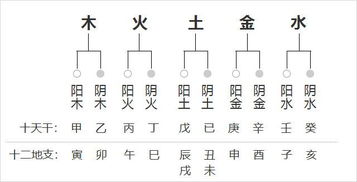 出生时辰五行查询起名:根据出生时辰五行查询起名,科学平衡命理的黄金法则