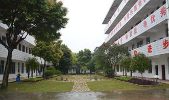 水瓶座男生怎么追：理性与浪漫的平衡术，水瓶座男生的独特追爱指南