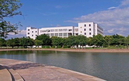韶关学院(韶关学院统一身份认证平台)