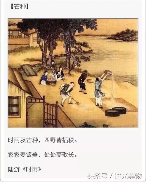 2月5日是什么节日:2月5日,被遗忘的雪日与多元文化中的特殊意义