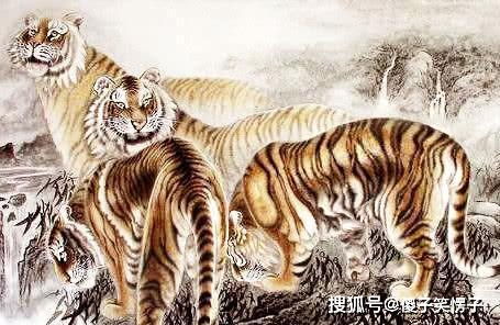 74年属虎二次婚姻在几岁:74年属虎人二次婚姻年龄解析,命理规律与人生建议 74年属虎二次婚姻在几岁:74年属虎人二次婚姻年龄解析,命理规律与人生建议