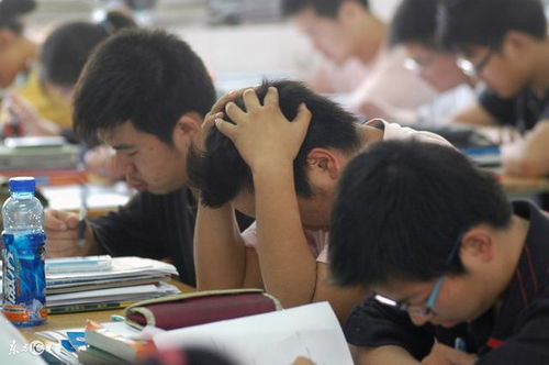 男孩考不上高中最佳出路(男孩考不上高中最佳出路湖南) 男孩考不上高中最佳出路(男孩考不上高中最佳出路湖南)