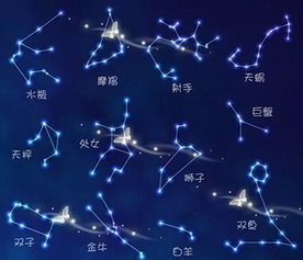 金牛座配对星座:金牛座配对星座全解析,哪些星座能与之共筑幸福港湾? 金牛座配对星座:金牛座配对星座全解析,哪些星座能与之共筑幸福港湾?