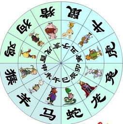八字星座命盘查询:八字与星座结合,解锁你的精准命盘解析指南