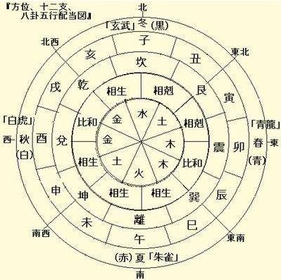 乙巳年是哪一年:乙巳年,干支纪年中的时光密码与文明印记 乙巳年是哪一年:乙巳年,干支纪年中的时光密码与文明印记