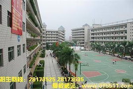 深圳最好的公办技校(深圳最好的公办技校有哪些)