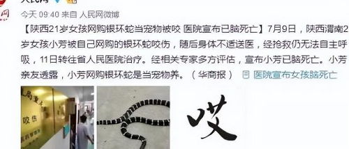 女人梦见蛇咬自己是什么意思:梦里被蛇咬,你的潜意识在告诉你什么?女性梦见蛇咬自己的深层解析