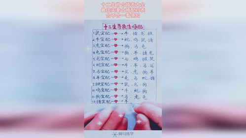 生肖属相婚配表:十二生肖属相婚配表,传统智慧与现代科学的结合指南