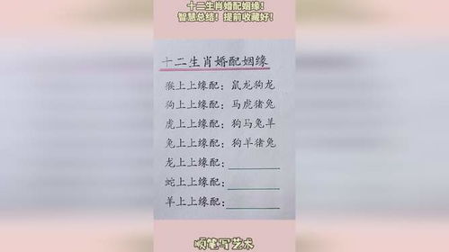 出生年月日配对姻缘:出生年月日精准配对姻缘,星座生肖与八字命理的融合解读