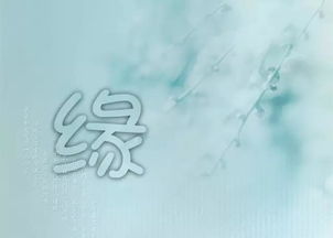 每个人是不是都有姻缘：姻缘，命中注定还是自我选择？