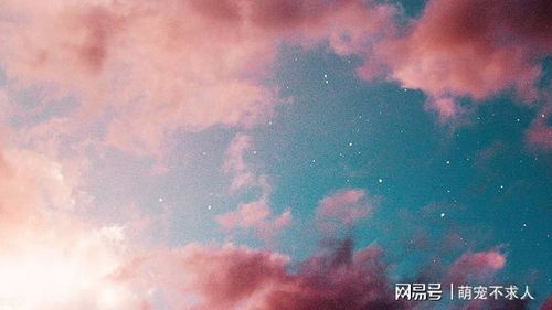 白羊座命中注定的真爱:白羊座命中注定的真爱,灵魂共振的宿命之旅