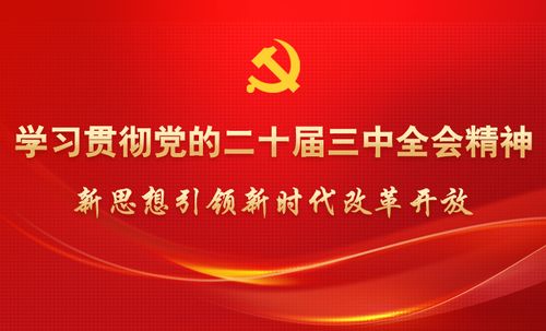 中央委员会委员：中央委员会委员，中国共产党领导核心的权力架构与历史使命